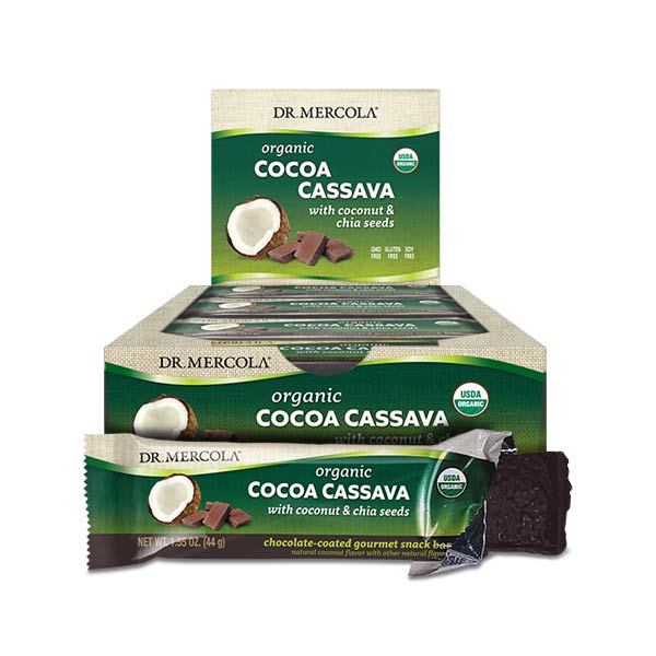 Organic Cocoa Cassava Bars