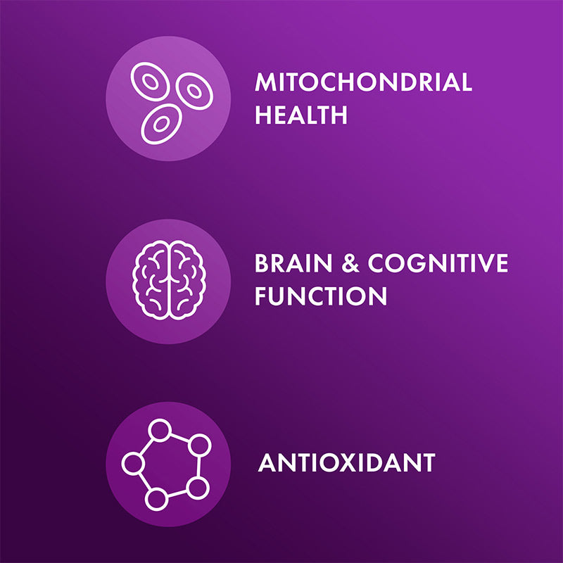 Dr. Mercola Fisetin And Spermidine 3