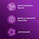 Dr. Mercola Fisetin And Spermidine 3