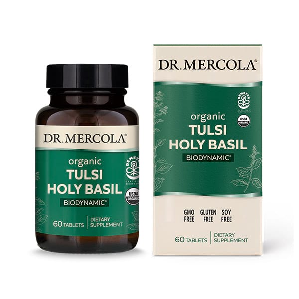 Biodynamic Organic Tulsi Holy Basil