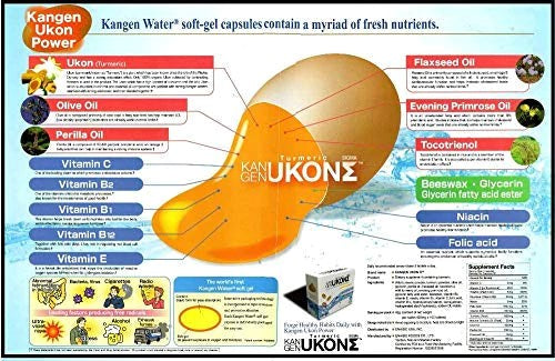 Enagic Inc Kangen Turmeric 482