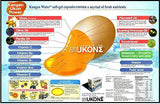 Enagic Inc Kangen Turmeric 482